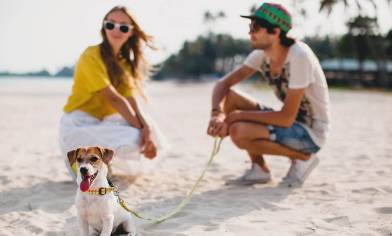 a stylish couple with their happy dog on a beach