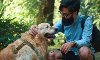 a pet owner petting a golden retriever dog outdoors
