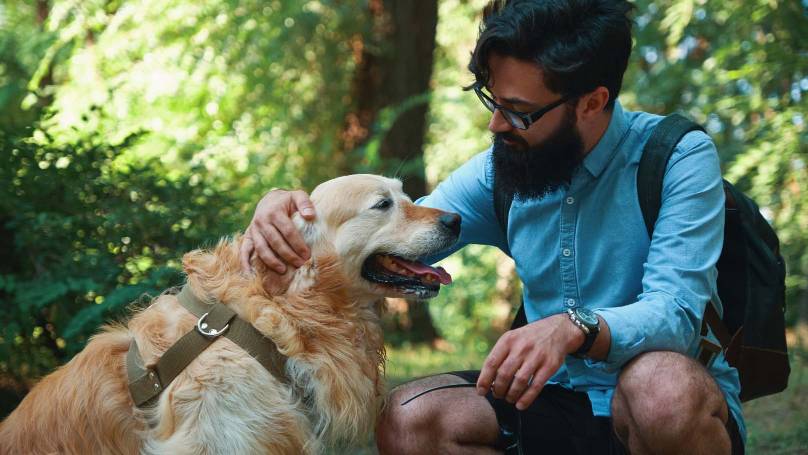 a pet owner petting a golden retriever dog outdoors
