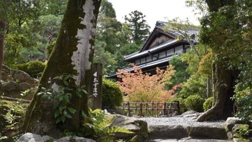 Japanese temple in forest