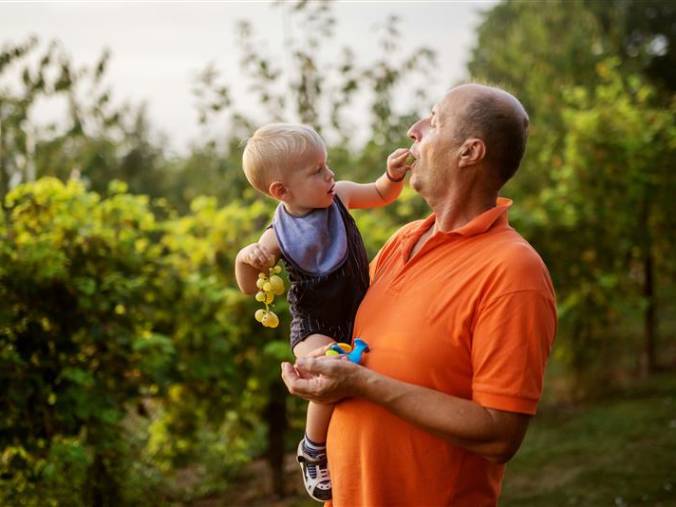 An adult holds a child in a vineyard as the child reaches out holding a small bunch of grapes