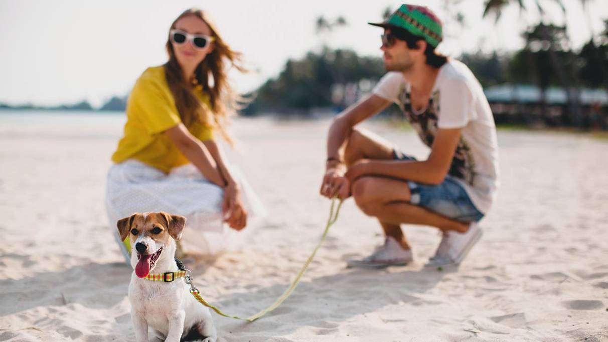 a stylish couple with their happy dog on a beach