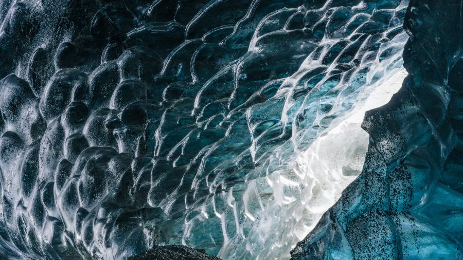 A large group of brightly coloured animal figurines