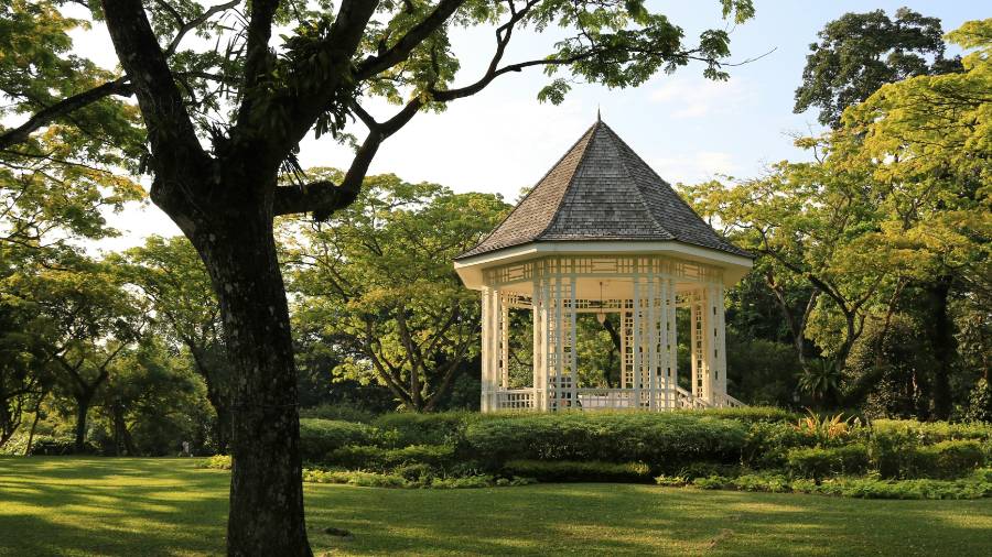 The Singapore Botanic Gardens