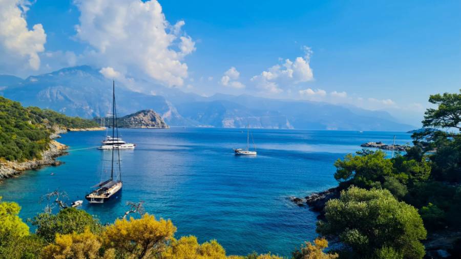 A body of water surrounded by trees and mountains photo