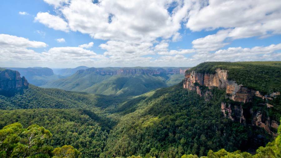 the vast landscape of the Blue Mountains, with its deep canyons and rocky cliffs topped with lush green vegetation
