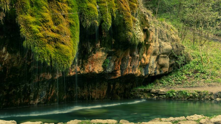 Moss-covered rock with thin streams of water dripping into a clear pool in a forest