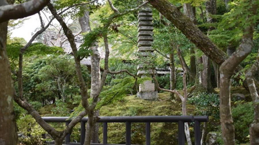 Japanese shrine in forest