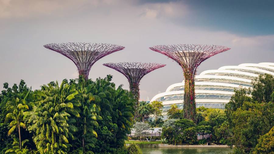 Gardens by the Bay - Singapore