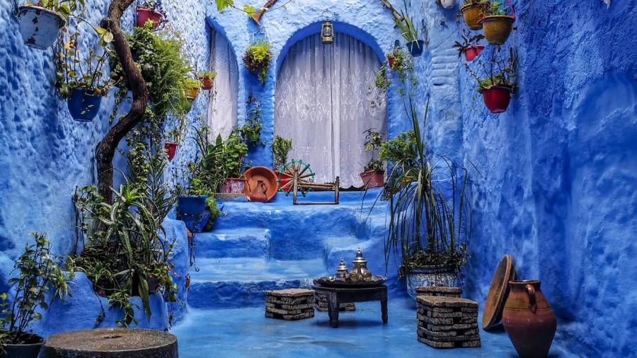 A bright blue alley with potted plants and a bench