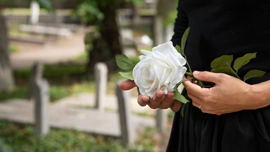 Closeup of a person dressed in black holding a white rose with green leaves while standing in a cemetery 