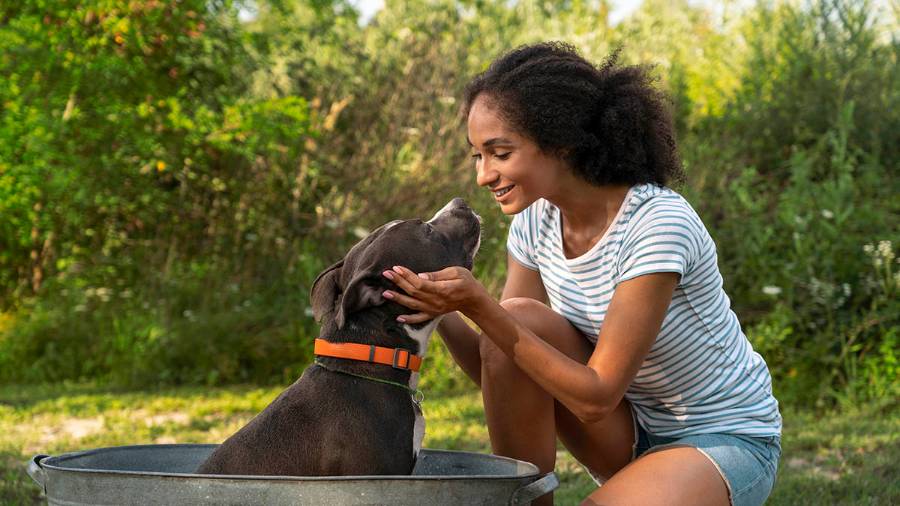 a pet owner cradling the head of her dog while in a bathtub outdoors