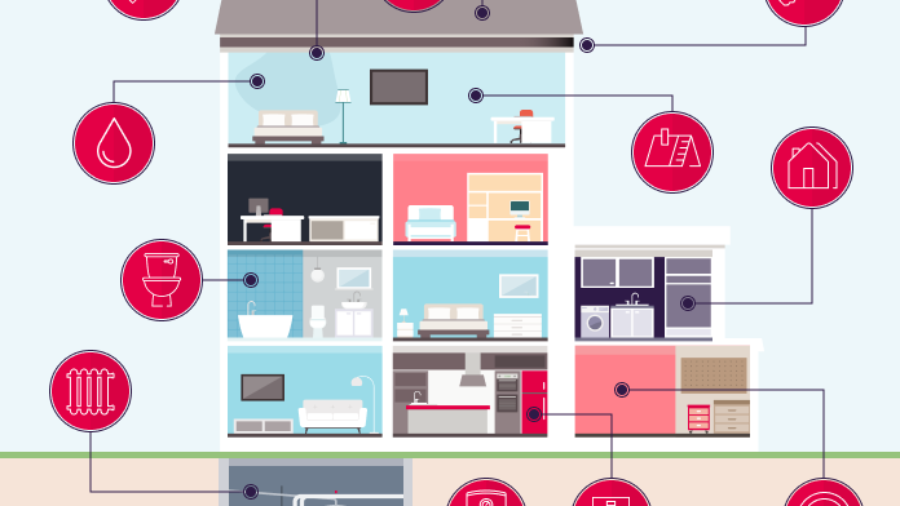 inforgraphic for home improvement survey