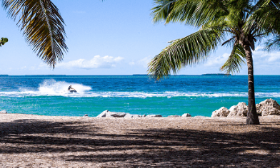 Sandy beach with rocks and palm trees in front of blue sea with person riding a jet ski