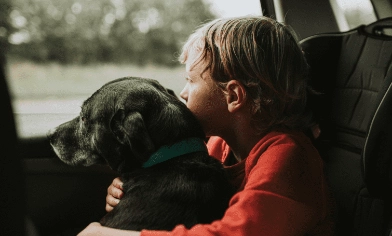 Boy and pet dog travelling in car