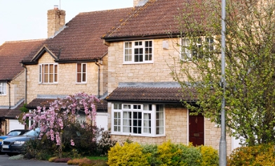 Row of House with plants and tree in the front yard