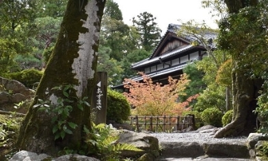 Japanese temple in forest