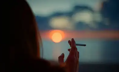 A person smoking a cigarette at sunset