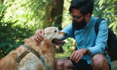 a pet owner petting a golden retriever dog outdoors