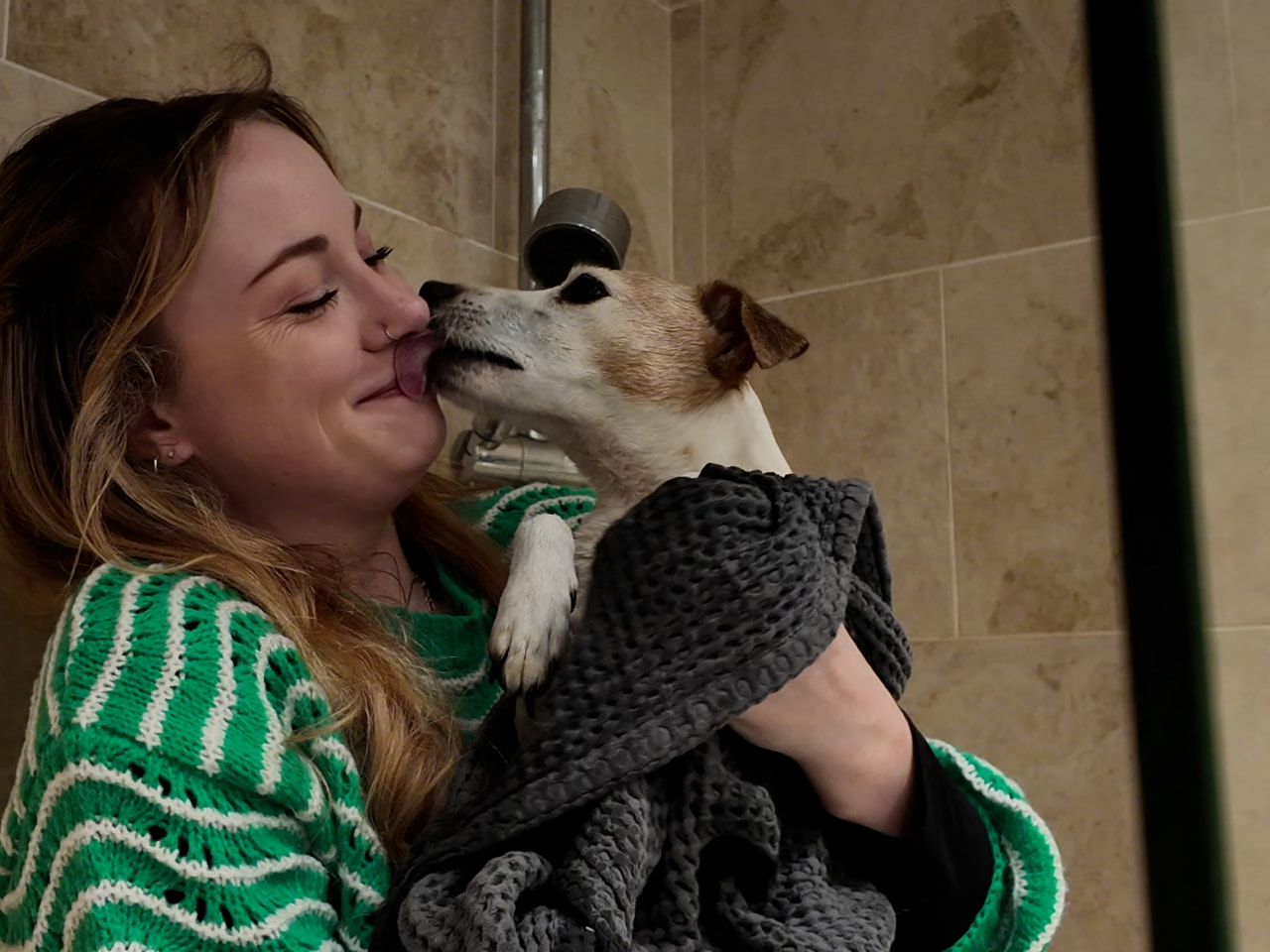 pet owner drying a dog with a bath towel