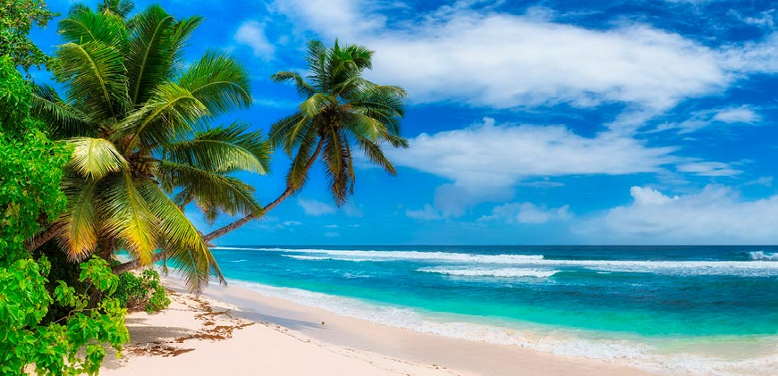 Palm trees and green bushes on tropical sandy beach with blue sea in distance