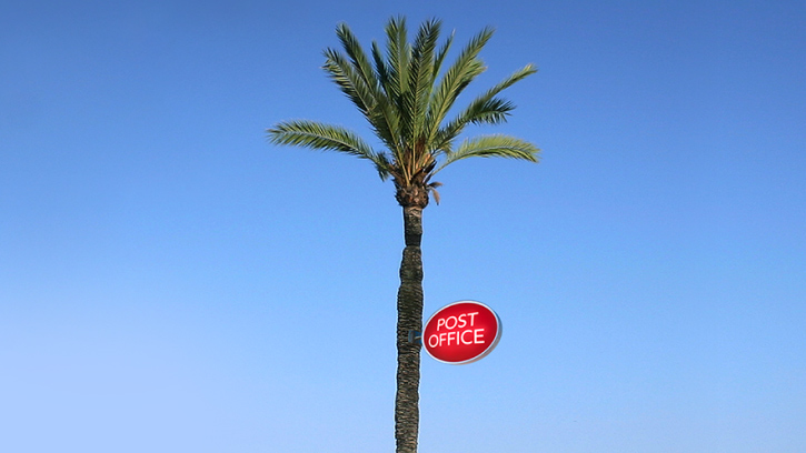 beach scene, post office sign on palm tree