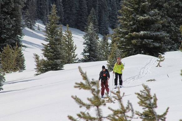 Two skiers moving along snowy mountains with trees spread all around