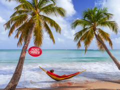 beach scene, post office sign on palm tree, hammock