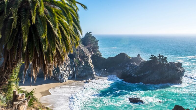 Palm trees overlooking a sandy beach surrounded with rocks and blue ocean