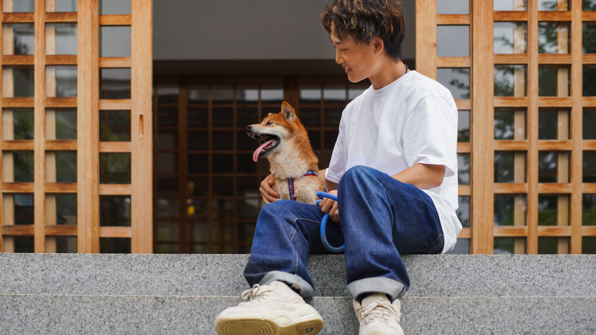 Someone in jeans and sneakers sits on some steps with their Shiba Inu dog, who’s looking off to the side with its tongue out