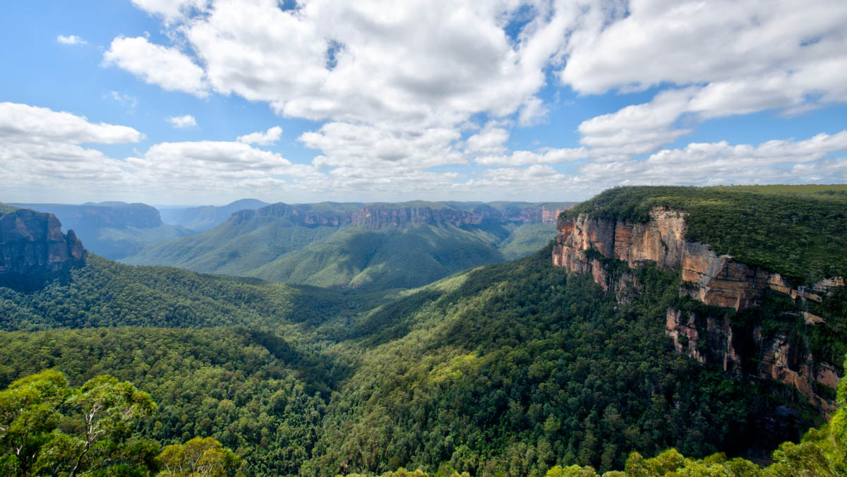 the vast landscape of the Blue Mountains, with its deep canyons and rocky cliffs topped with lush green vegetation