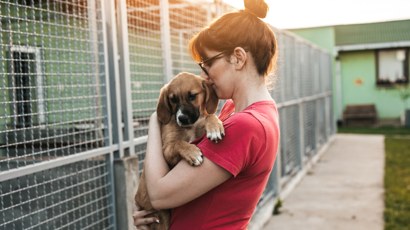 Woman in red shirt holding a brown puppy outside an animal shelter, standing beside metal fencing on a sunny day