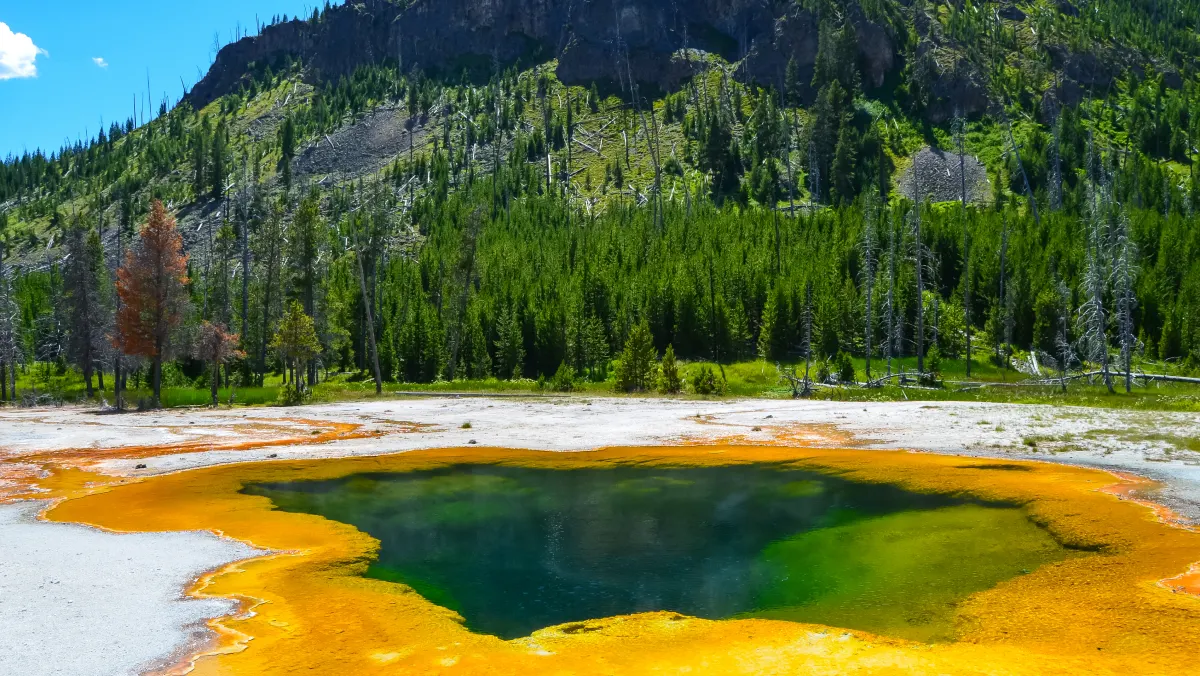 yellow sulfur geyser pool in the mountainous landscape of Yellowstone National Park Wyoming USA