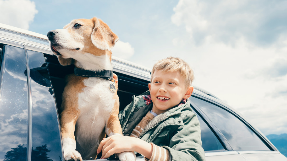 A boy and his dog sticking their heads out of the back passenger car window