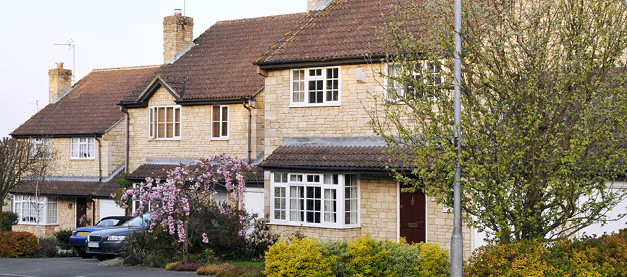 Row of House with plants and tree in the front yard