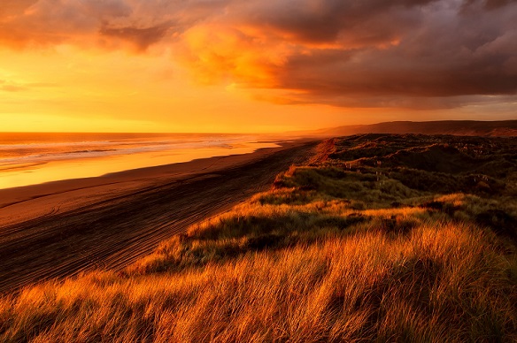 Golden lit sunset over sea and beach in New Zealand