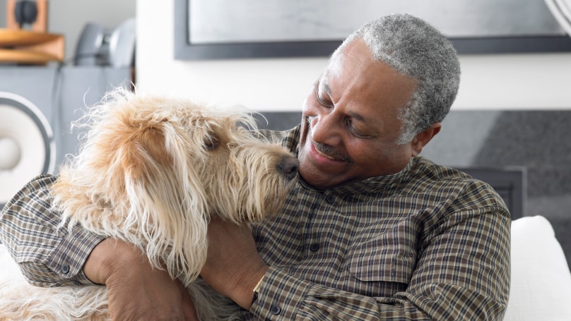 A man cuddles his pet dog on a sofa