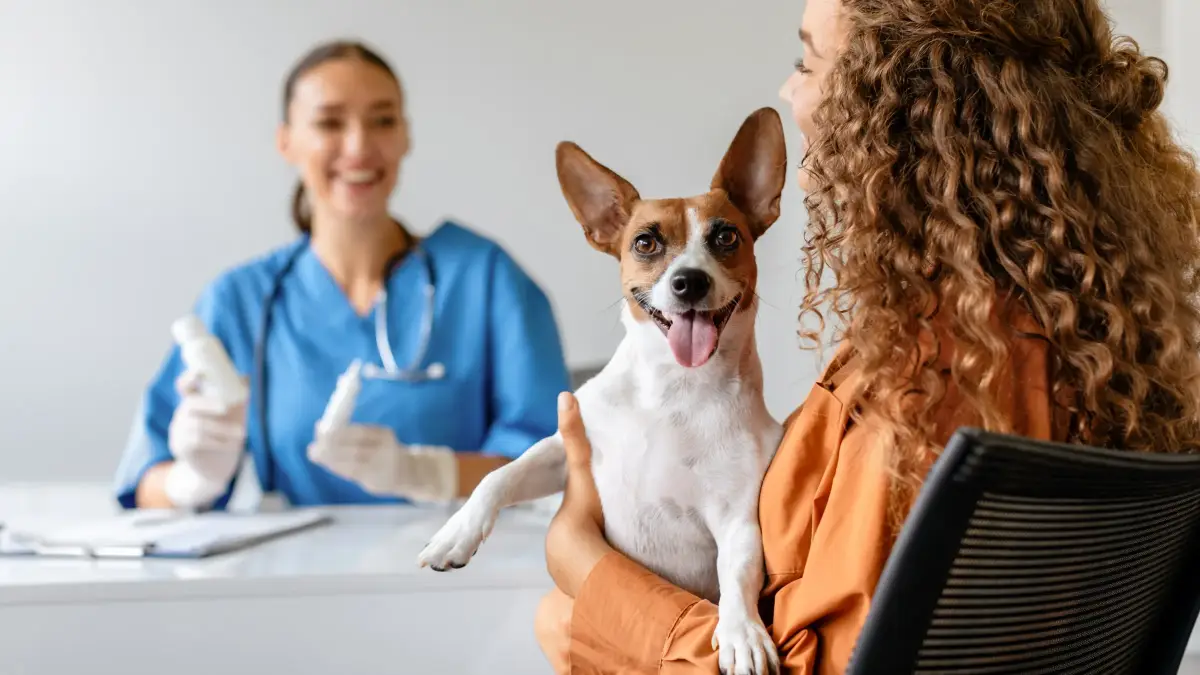 a lady and her dog visiting the vet