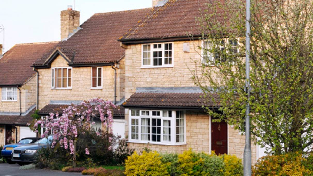 Row of House with plants and tree in the front yard