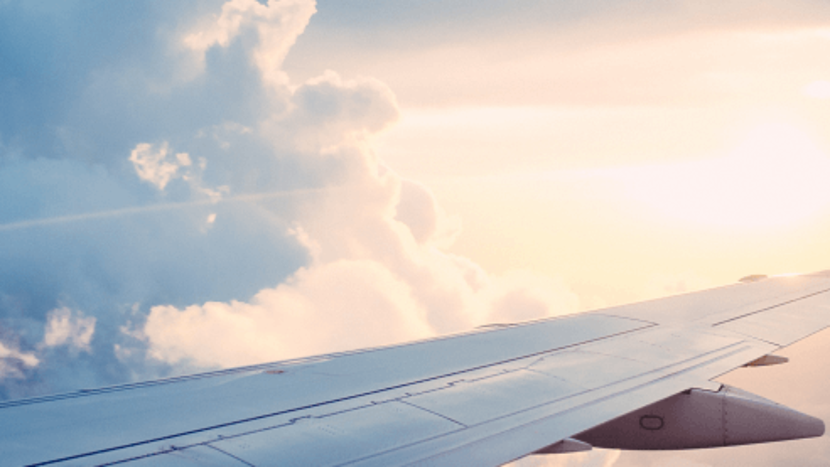 Plane wing in flight