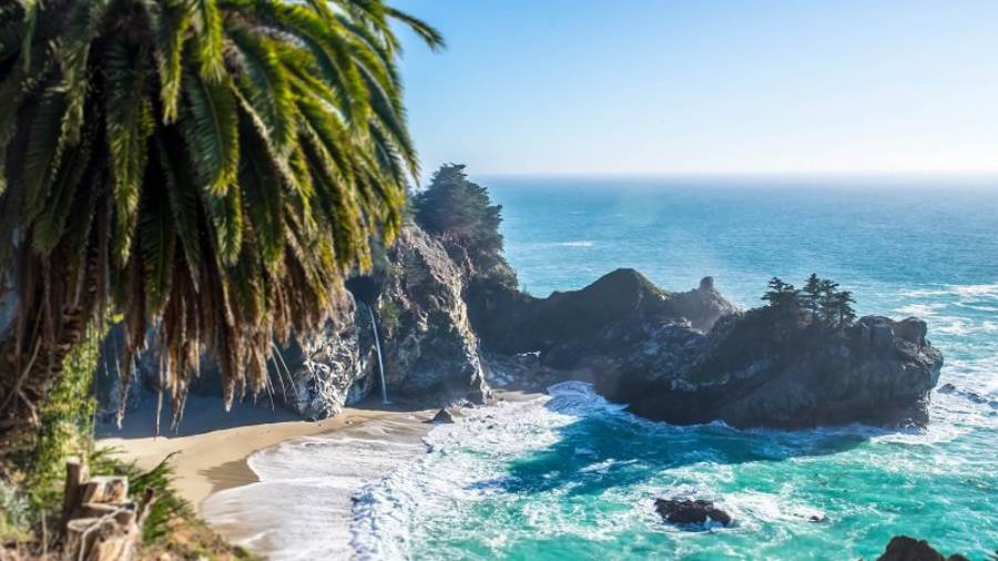 Palm trees overlooking a sandy beach surrounded with rocks and blue ocean